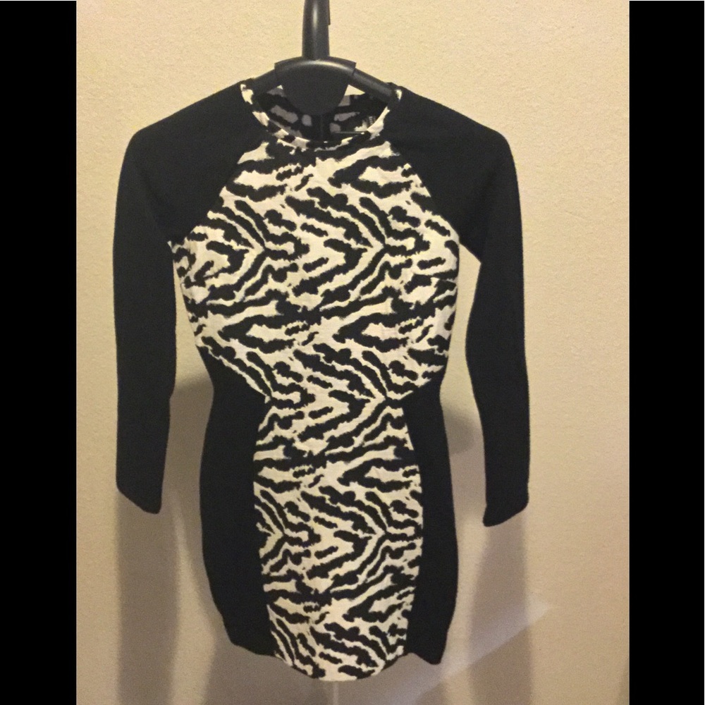 H&M Zebra Print Dress